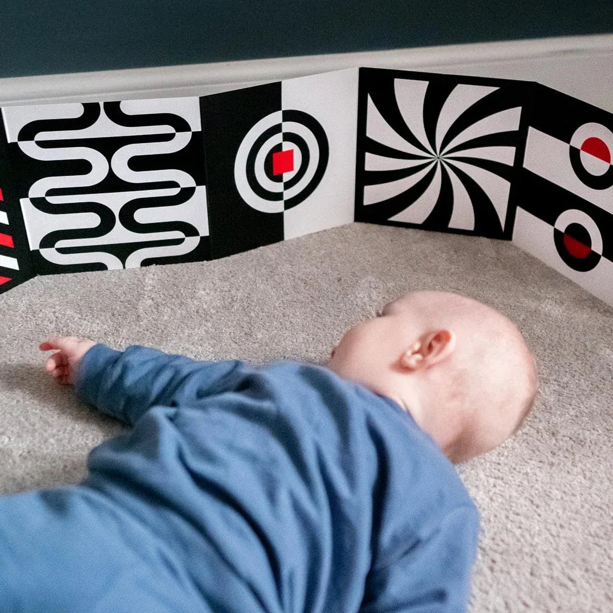0+ Month High Contrast Sensory Board