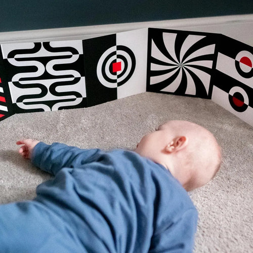 0+ Month High Contrast Sensory Board