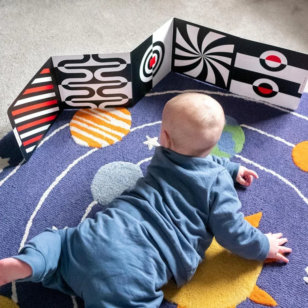 0+ Month High Contrast Sensory Board