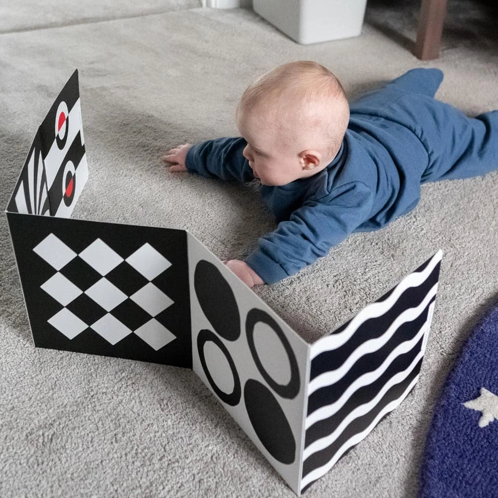 0+ Month High Contrast Sensory Board