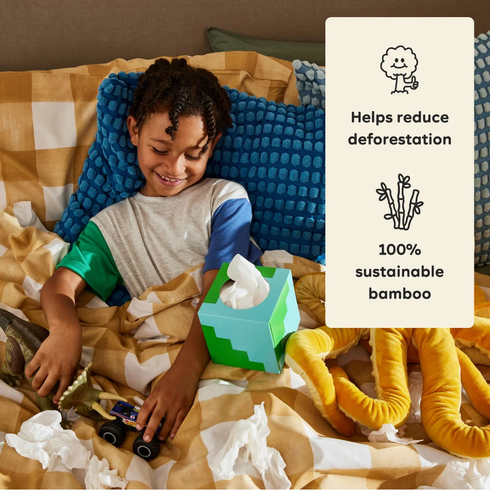 100% Bamboo Facial Tissues, 12 Boxes