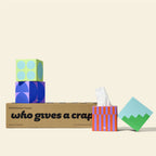 100% Bamboo Facial Tissues, 12 Boxes