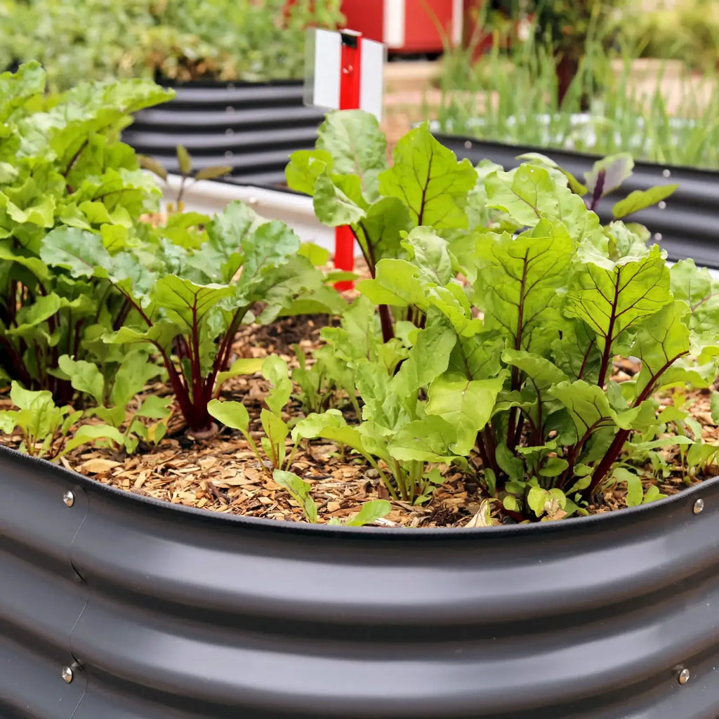 26-Inch Tall Raised Garden Bed Kit in Modular Metal