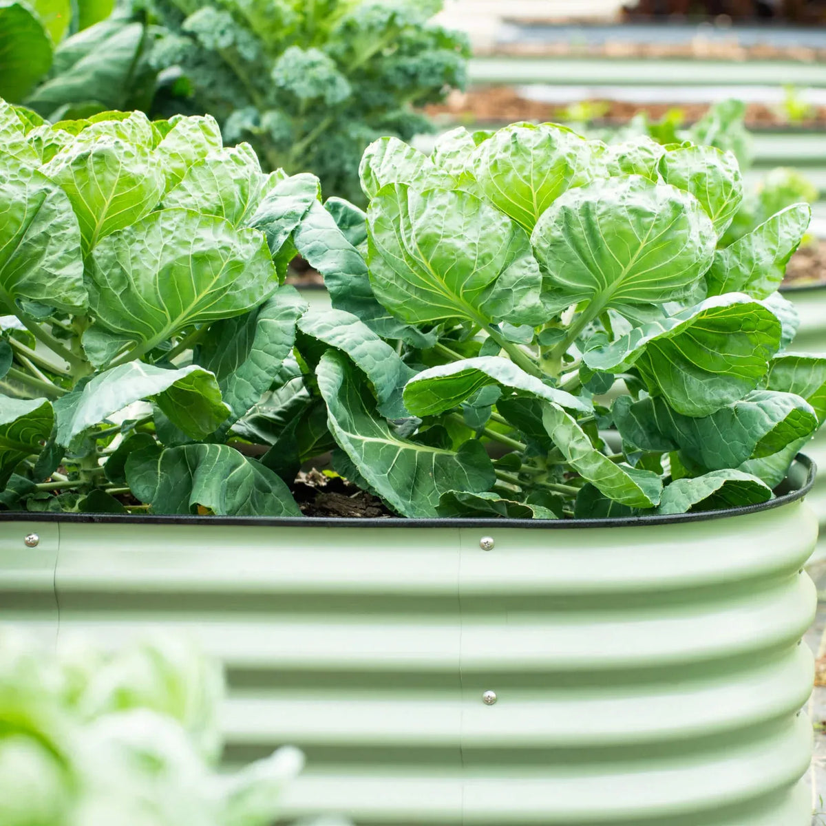 26-Inch Tall Raised Garden Bed Kit in Modular Metal