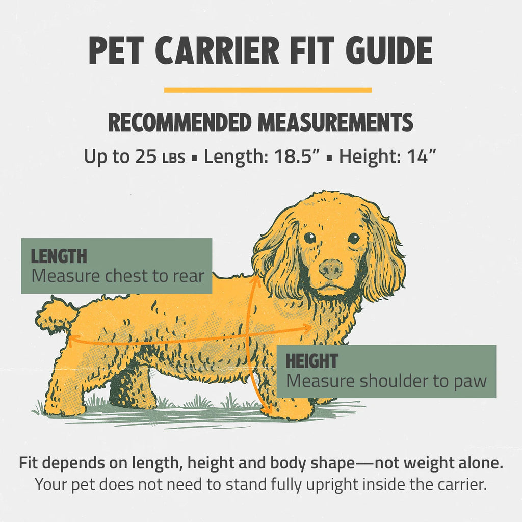 3-in-1 Soft-Sided Dog Carrier
