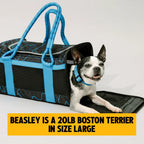 3-in-1 Soft-Sided Dog Carrier