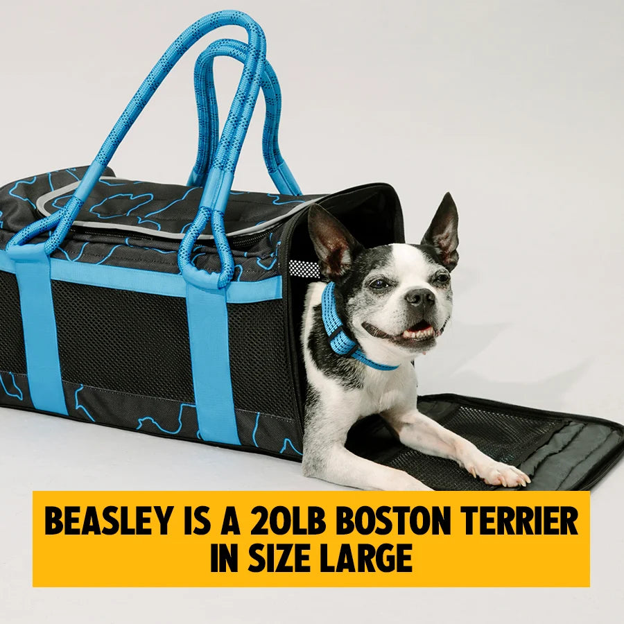 3-in-1 Soft-Sided Dog Carrier