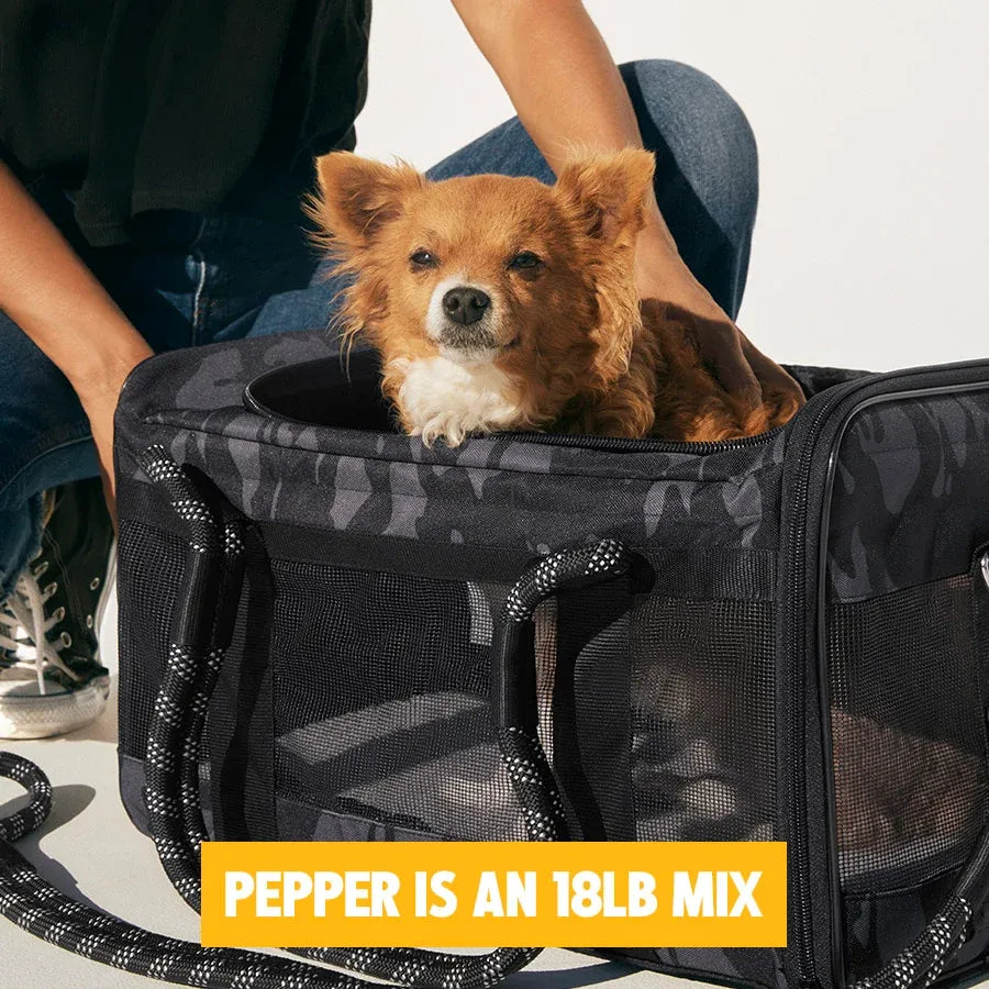 3-in-1 Soft-Sided Dog Carrier