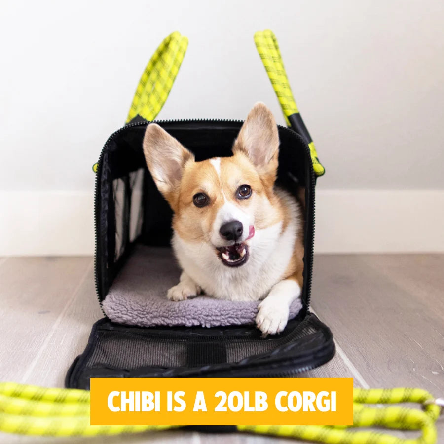 3-in-1 Soft-Sided Dog Carrier