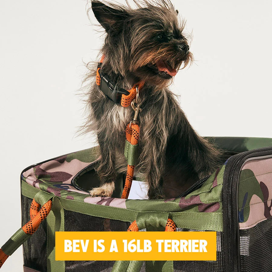 3-in-1 Soft-Sided Dog Carrier
