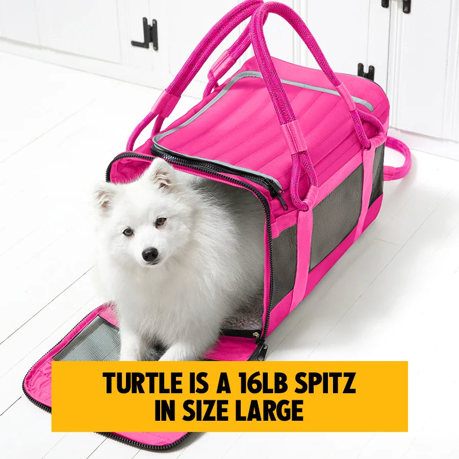 3-in-1 Soft-Sided Dog Carrier