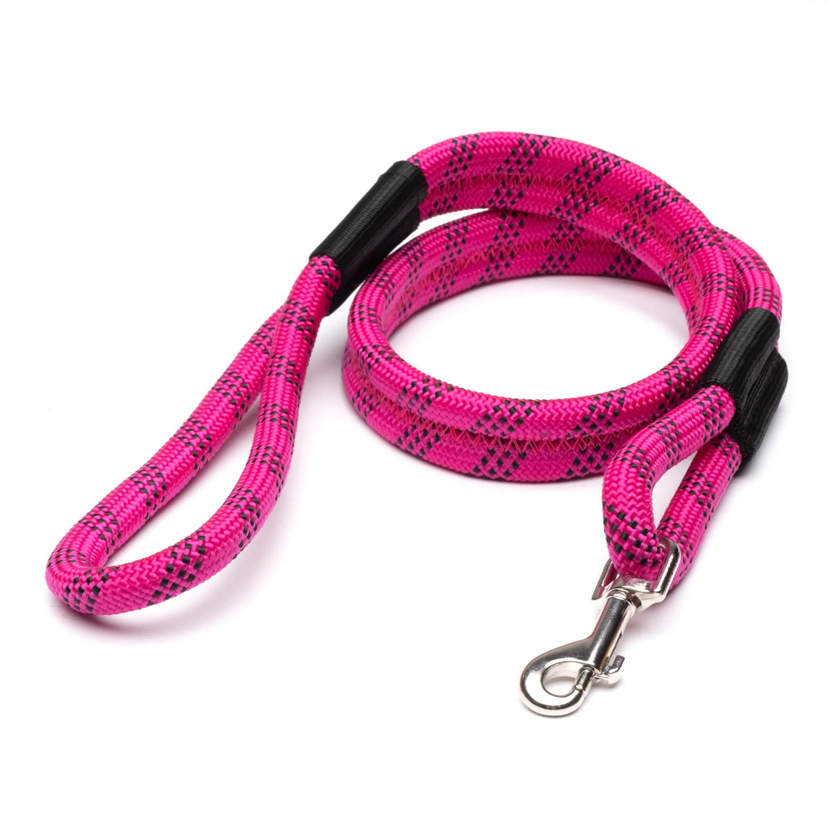 3-in-1 Soft-Sided Dog Carrier