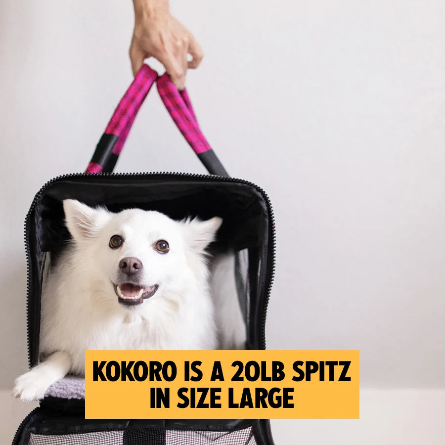 3-in-1 Soft-Sided Dog Carrier