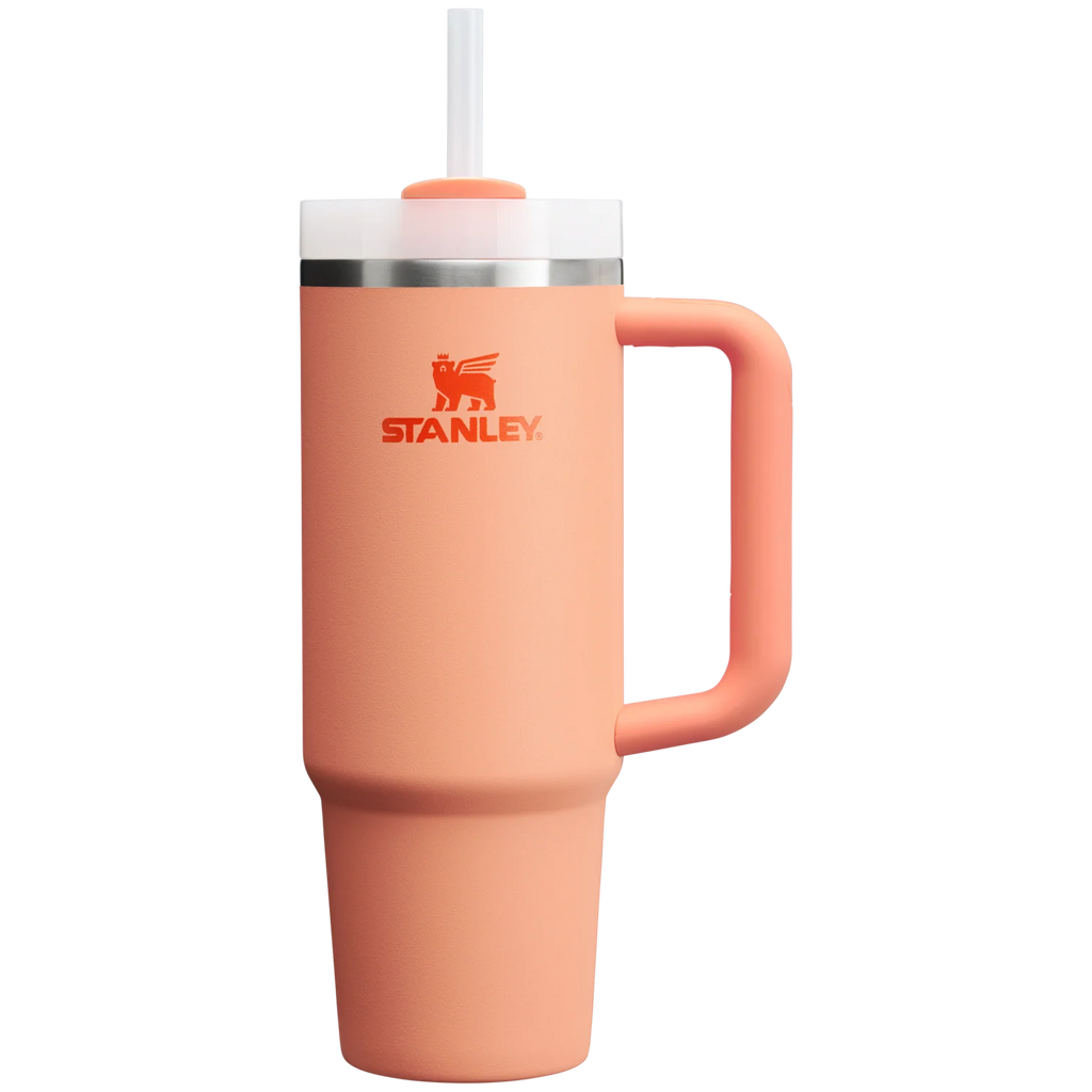 30 Oz Stainless Steel Tumbler
