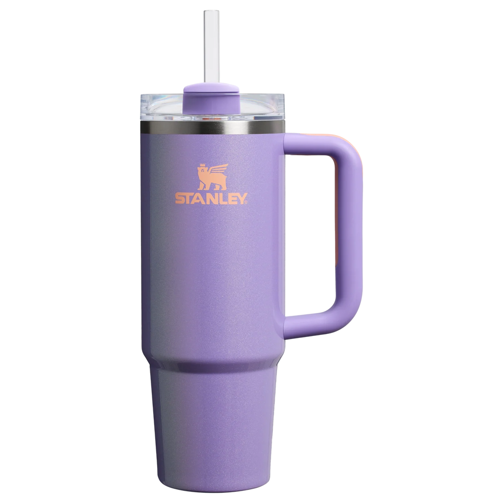 30 Oz Stainless Steel Tumbler
