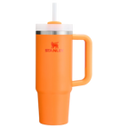 30 Oz Stainless Steel Tumbler