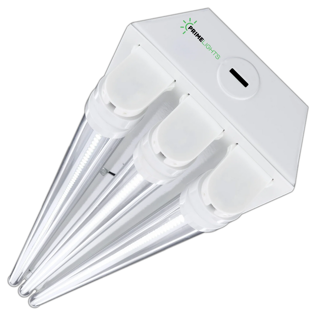 4ft Three-Lamp LED Shop Light Fixture, Clear LED Tubes