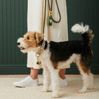 5-Foot Marine Rope Dog Leash