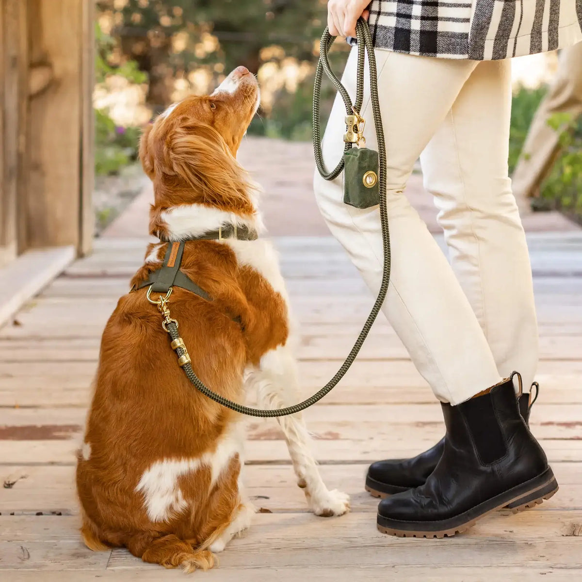 5-Foot Marine Rope Dog Leash