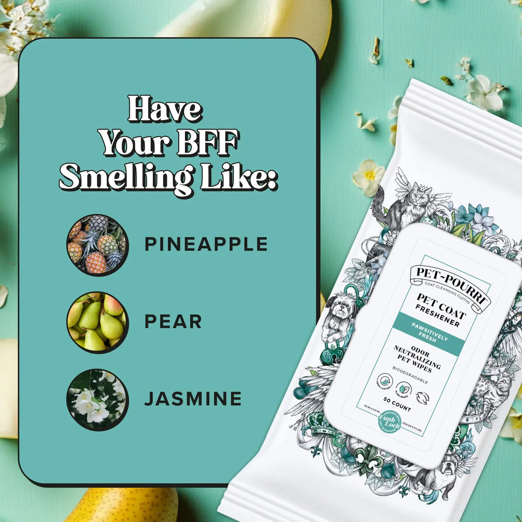 50-Count Deodorizing Pet Wipes
