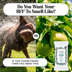 50-Count Deodorizing Pet Wipes