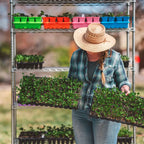 72-Cell Seed Starting Trays with Extra-Strength Recycled Plastic and Bottom-Watering Drainage Design