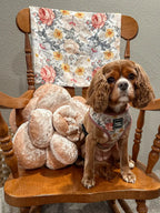 Adjustable Dog Harness