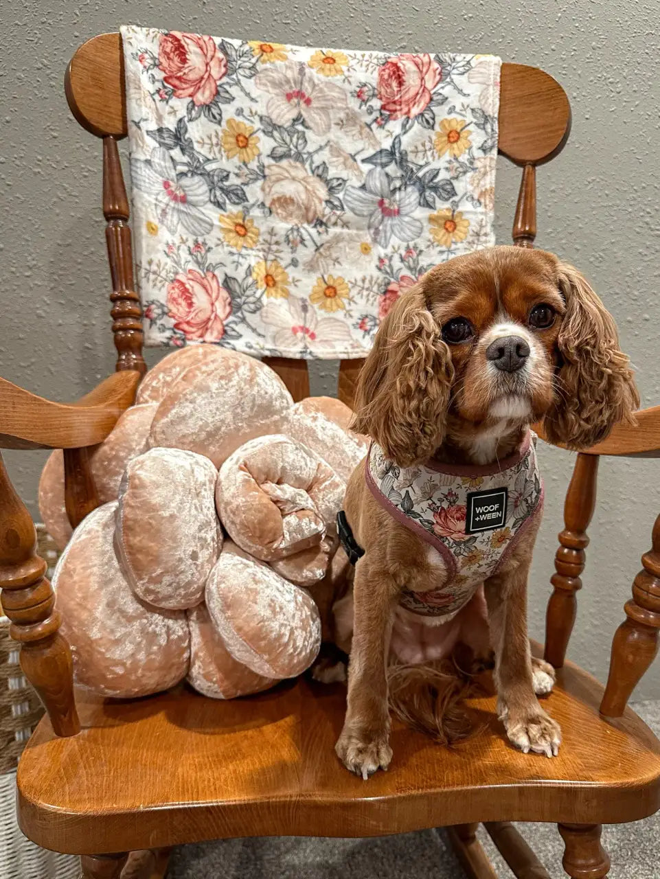 Adjustable Dog Harness