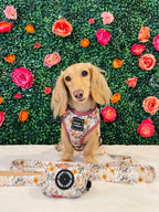 Adjustable Dog Harness