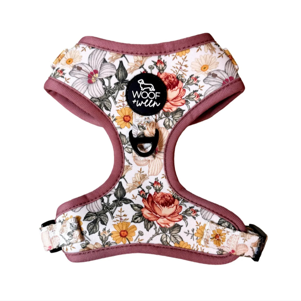 Adjustable Dog Harness