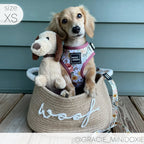 Adjustable Dog Harness