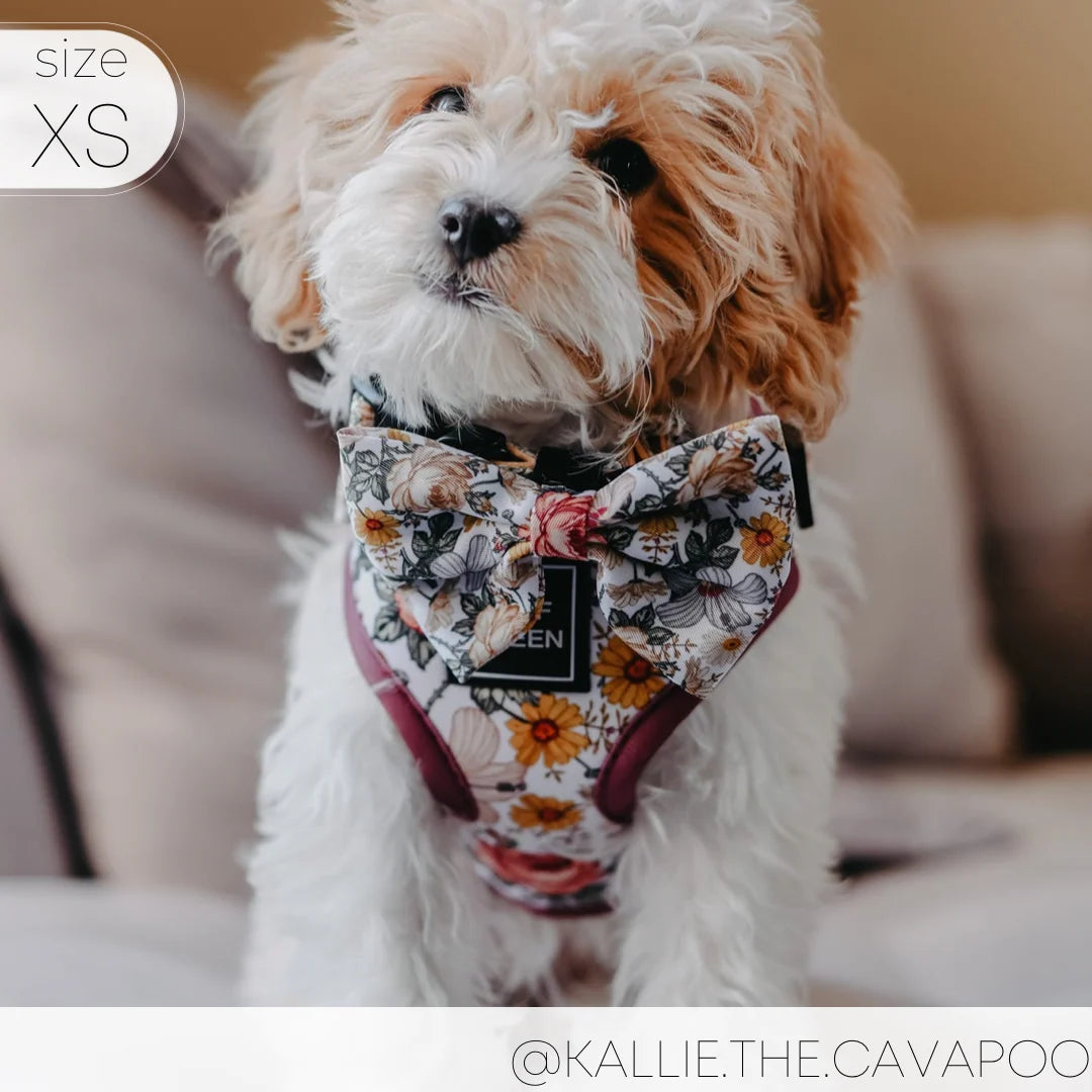 Adjustable Dog Harness