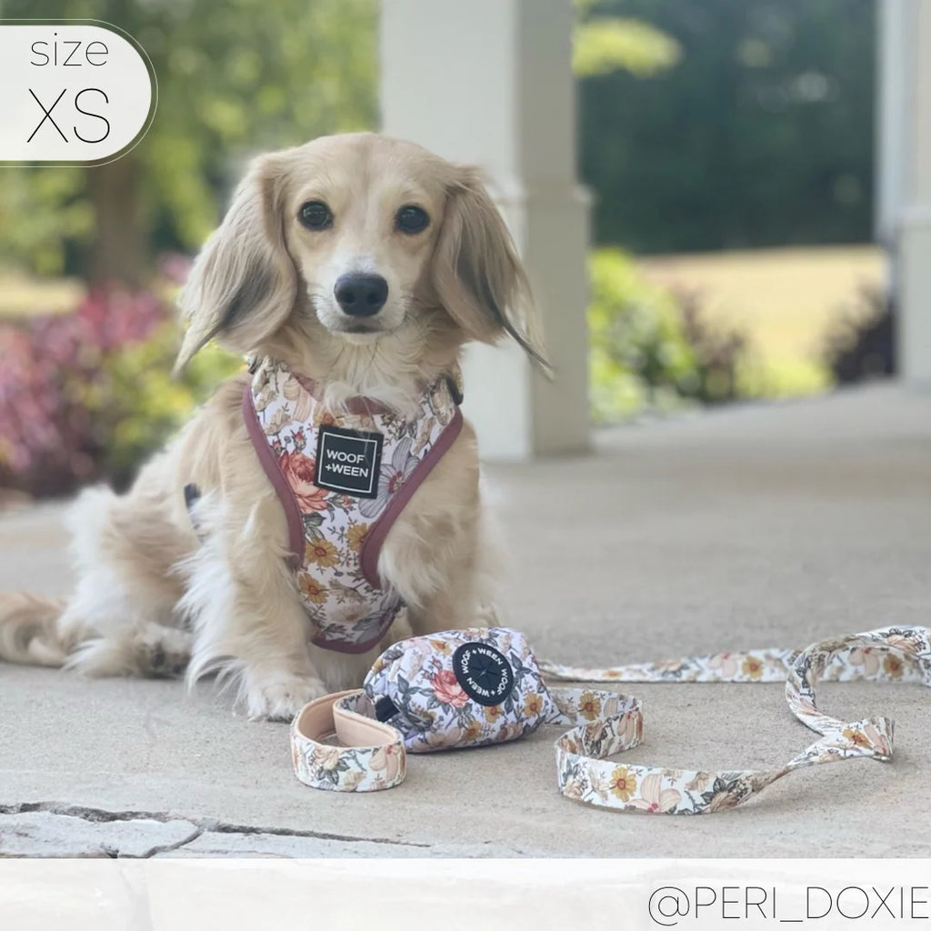 Adjustable Dog Harness