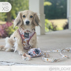 Adjustable Dog Harness
