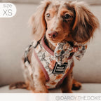 Adjustable Dog Harness