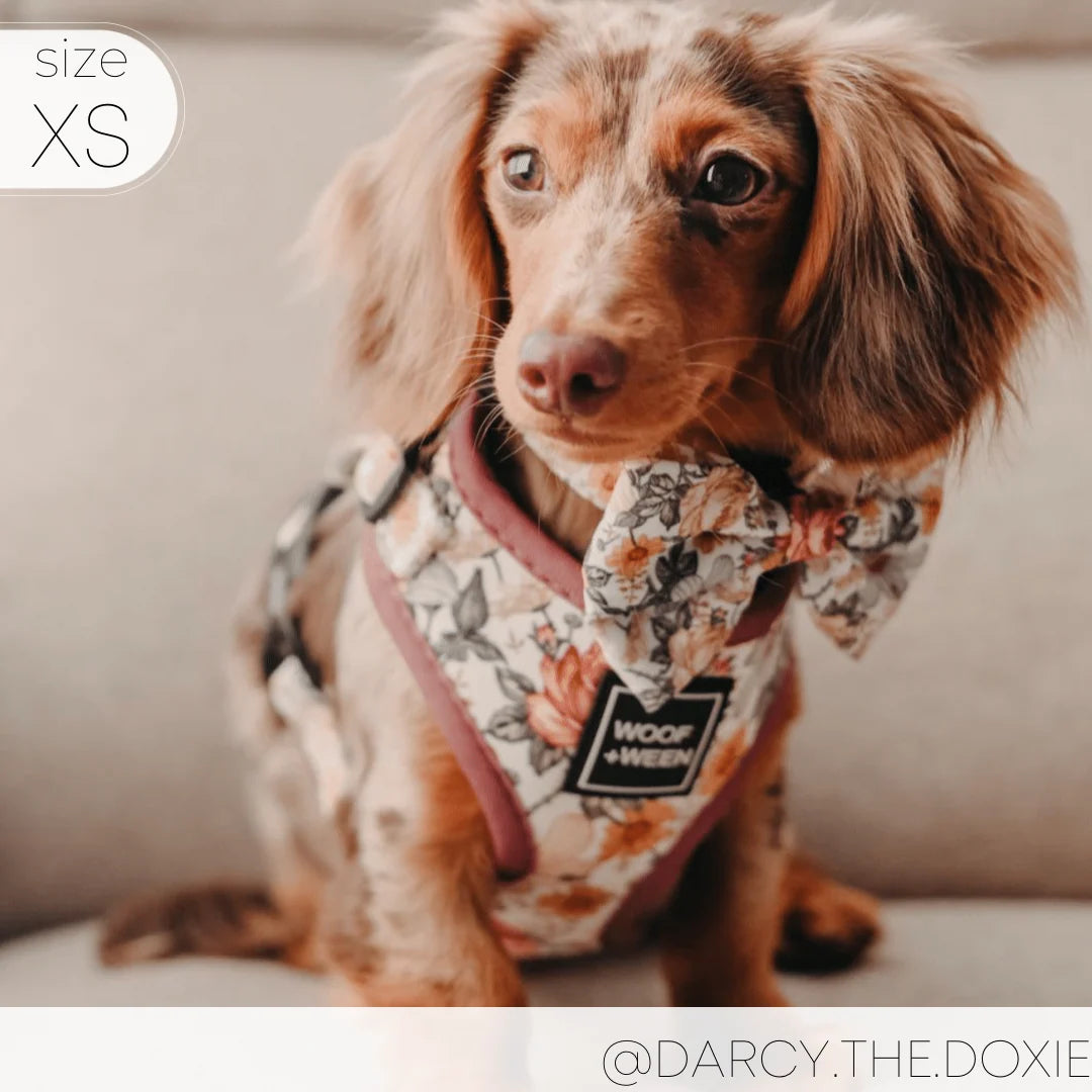 Adjustable Dog Harness