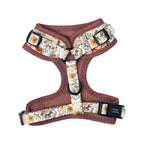 Adjustable Dog Harness