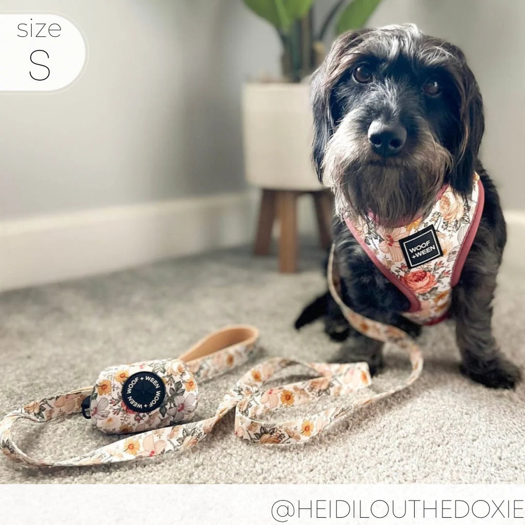 Adjustable Dog Harness