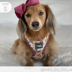 Adjustable Dog Harness
