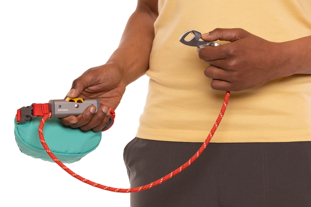 Adjustable Dog Leash and Hitching System