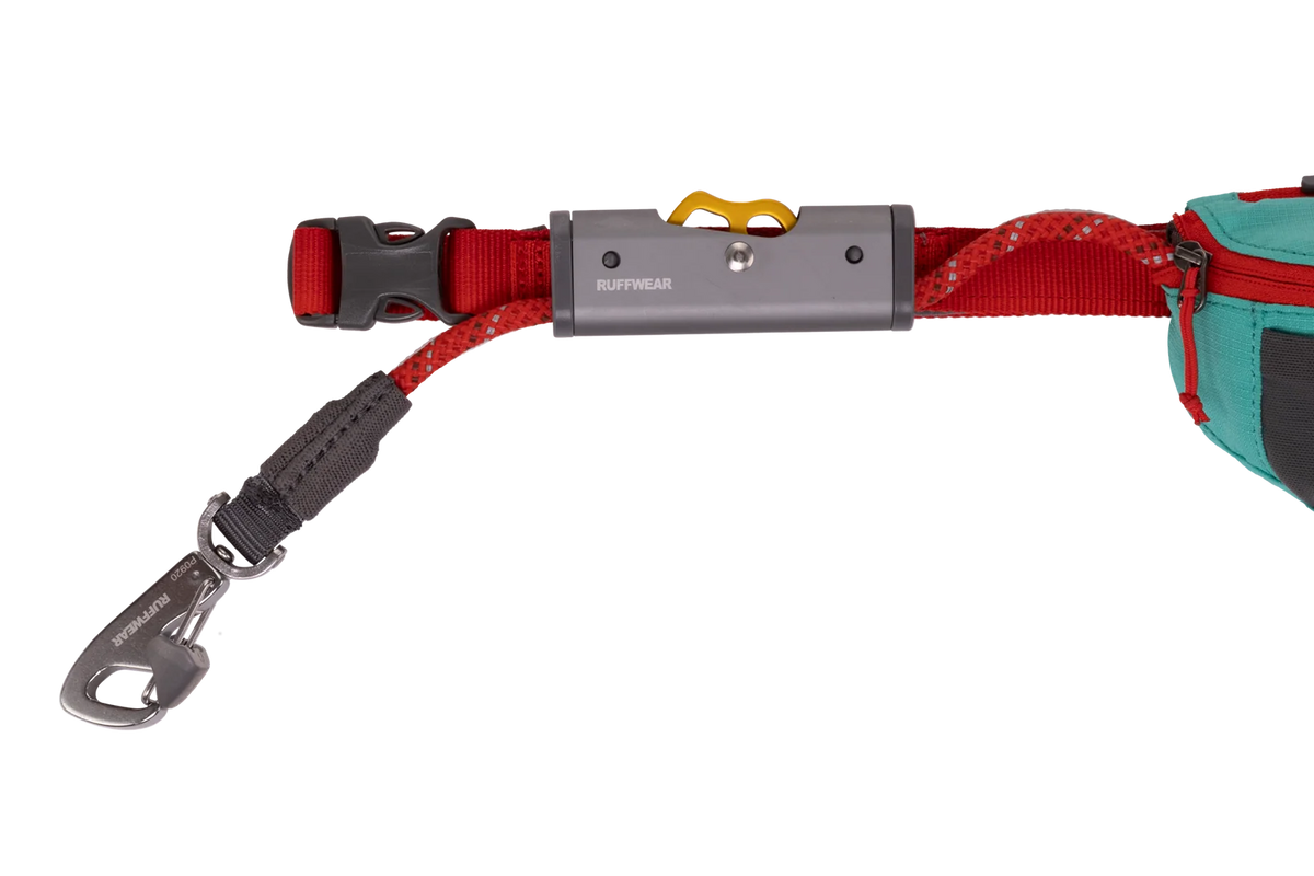 Adjustable Dog Leash and Hitching System