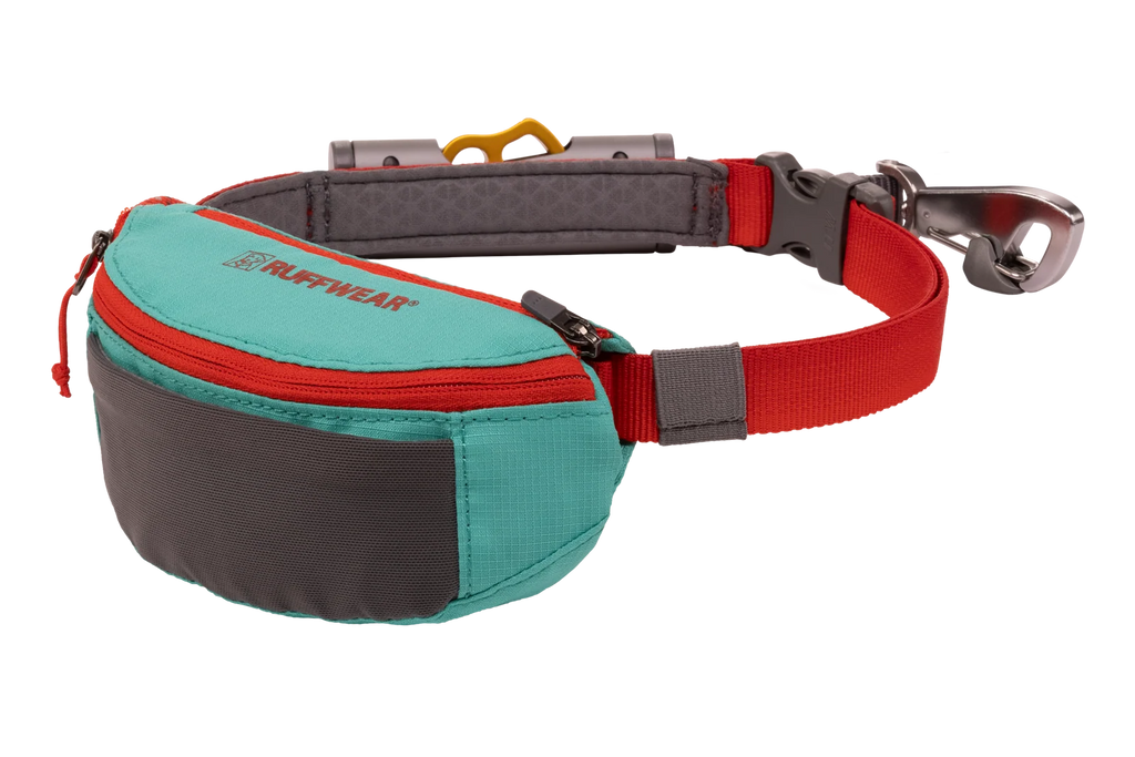 Adjustable Dog Leash and Hitching System