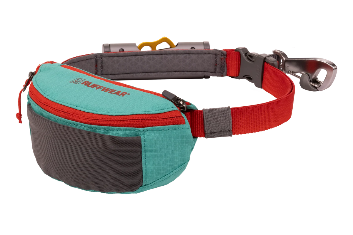 Adjustable Dog Leash and Hitching System