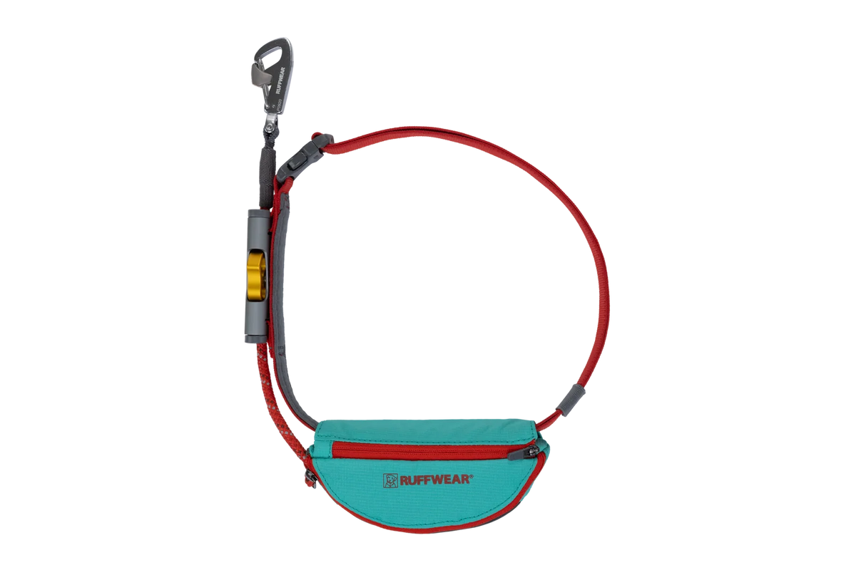 Adjustable Dog Leash and Hitching System