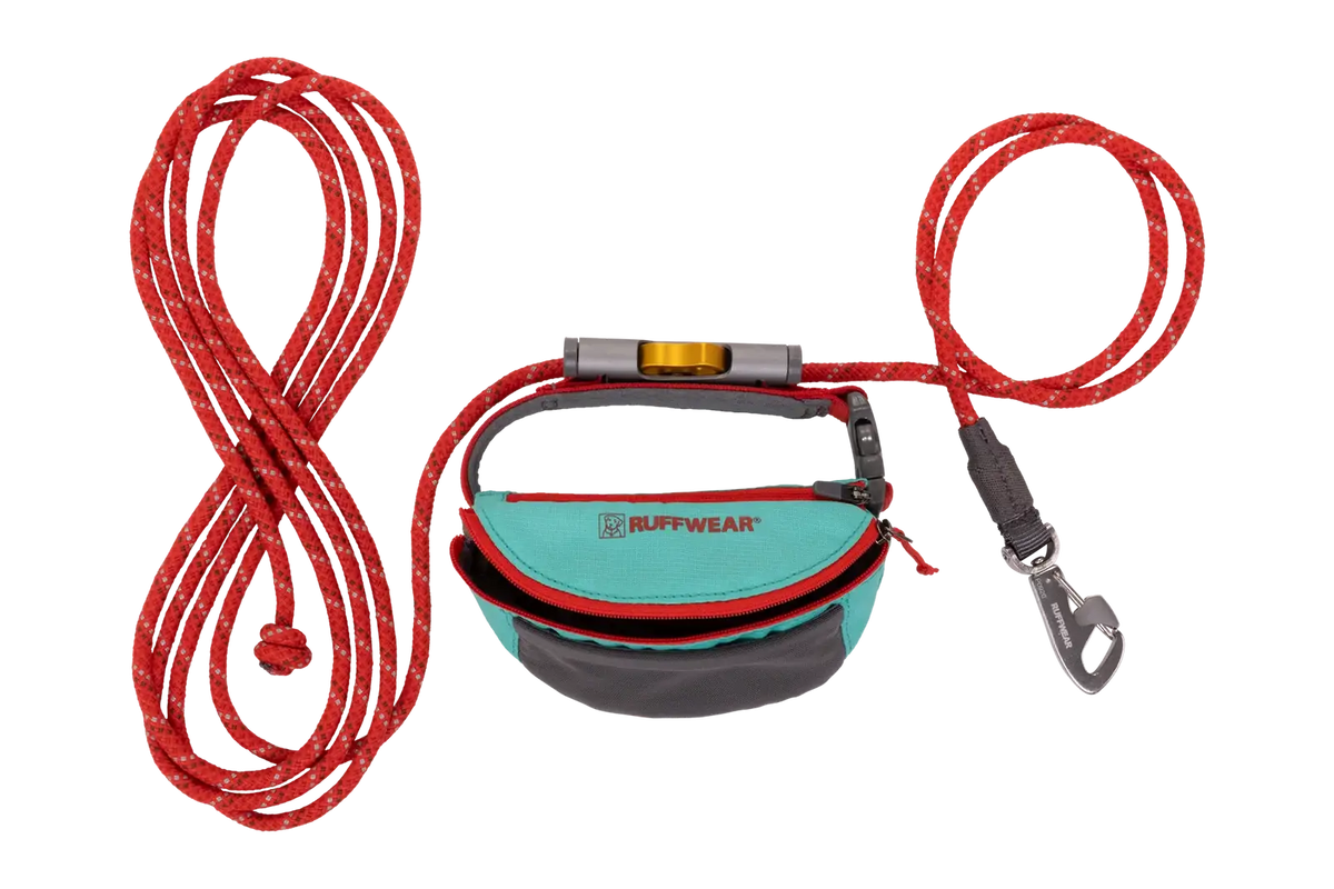 Adjustable Dog Leash and Hitching System