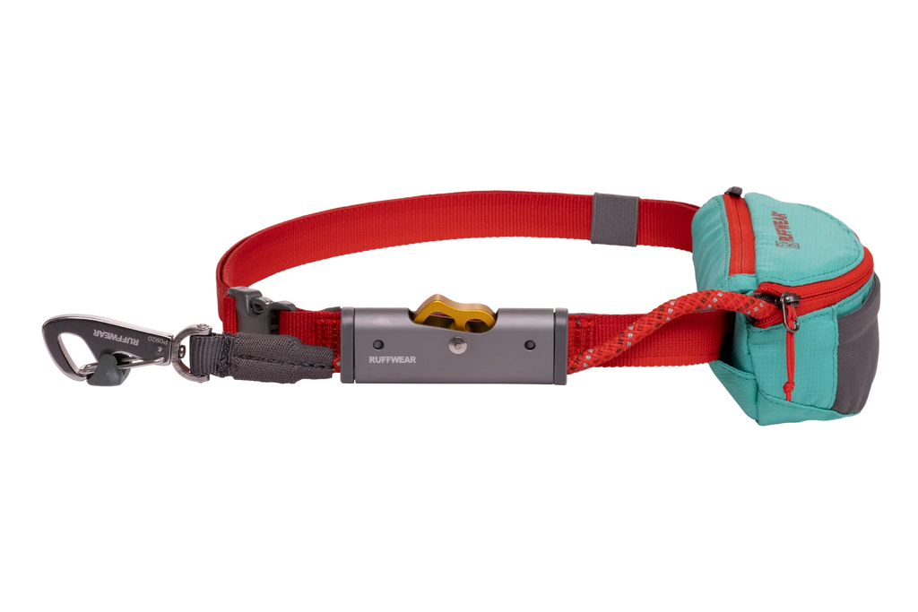 Adjustable Dog Leash and Hitching System