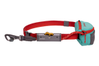 Adjustable Dog Leash and Hitching System