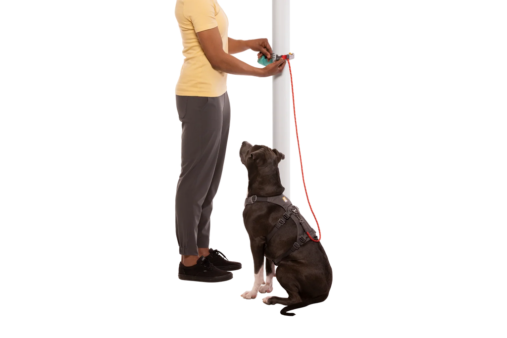 Adjustable Dog Leash and Hitching System