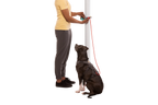 Adjustable Dog Leash and Hitching System