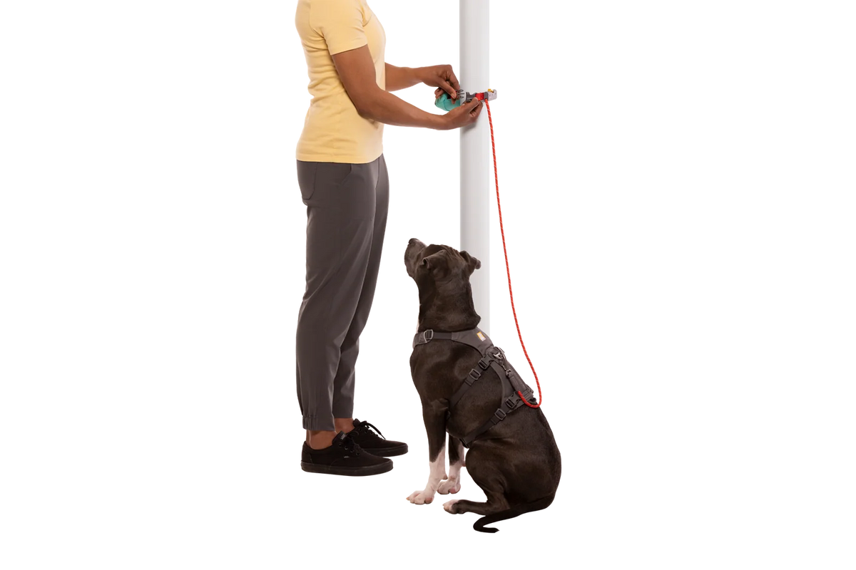 Adjustable Dog Leash and Hitching System